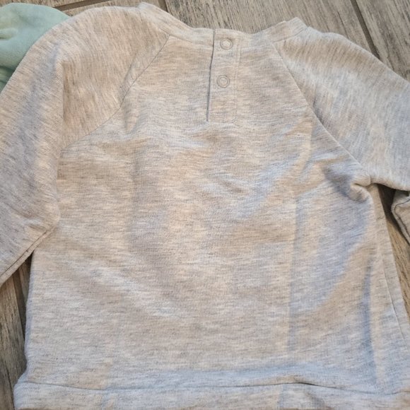 Jumping Beans and Carter's baby girl long sleeve tops grey and blue size 3-6M - Picture 6 of 7